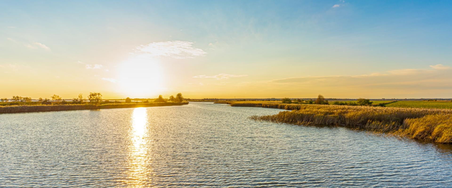 Boddenlandschaft 