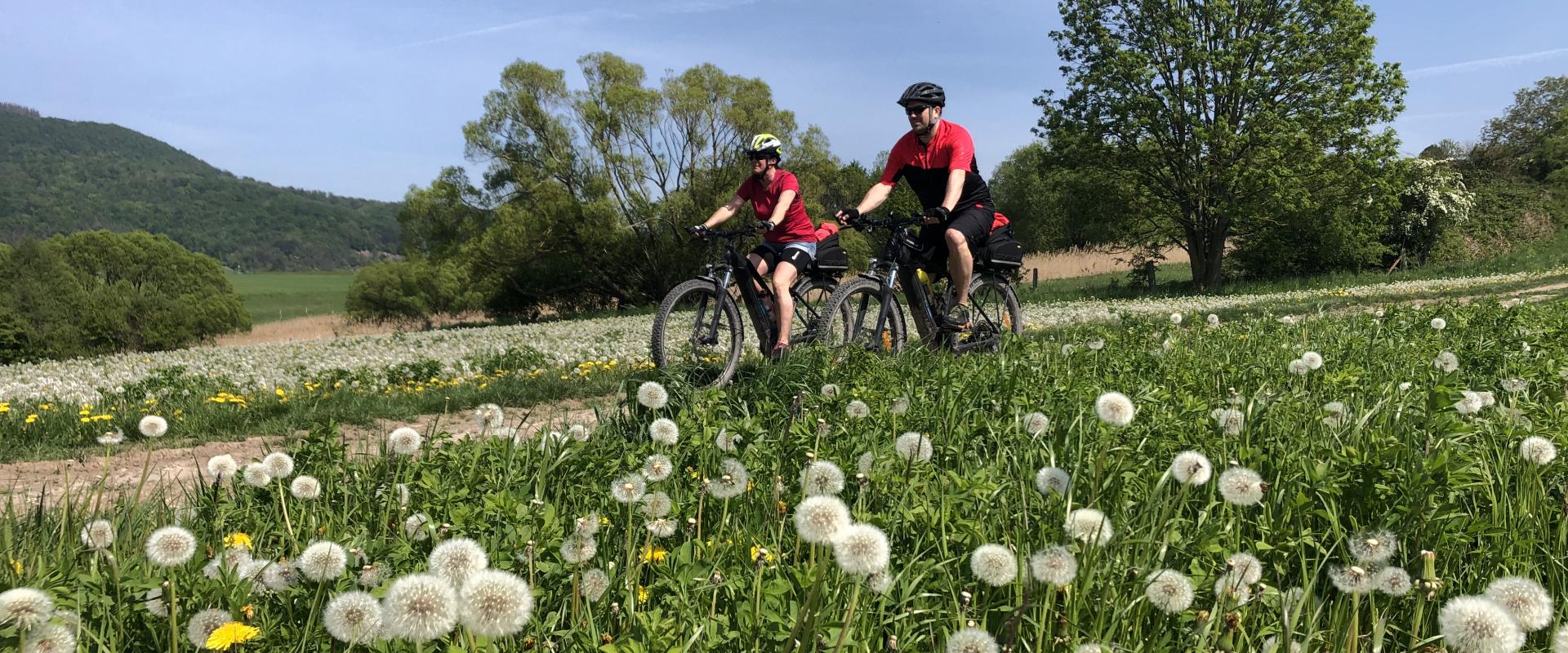 Main eBike Atlas.jpg