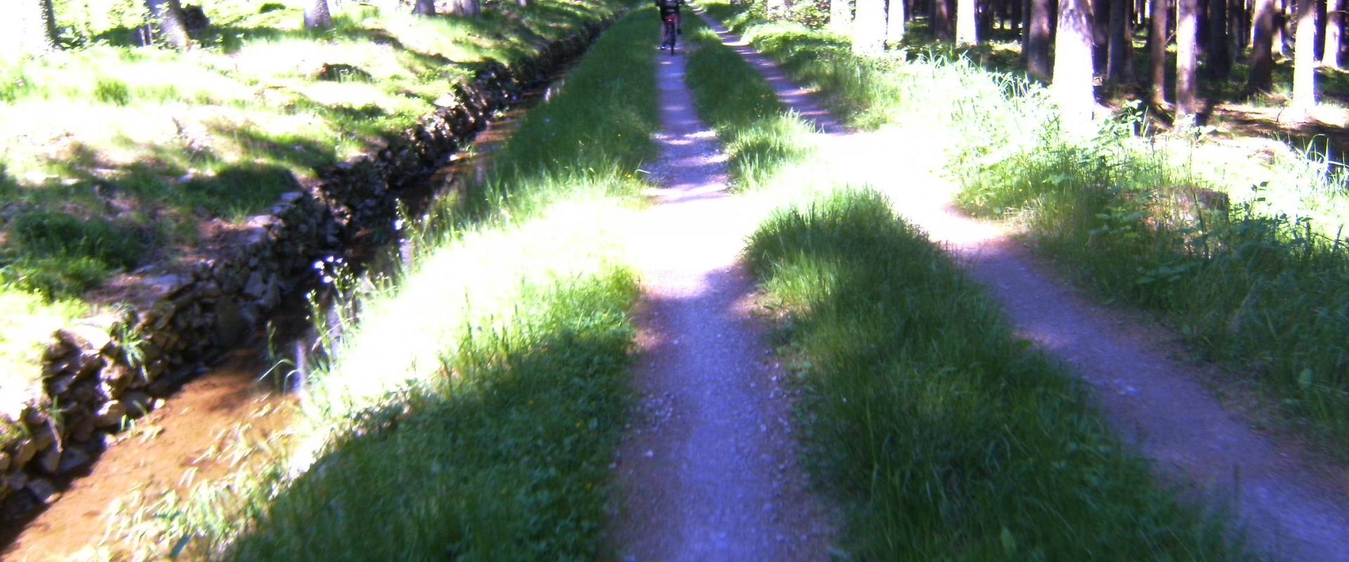 BILD0142.JPG