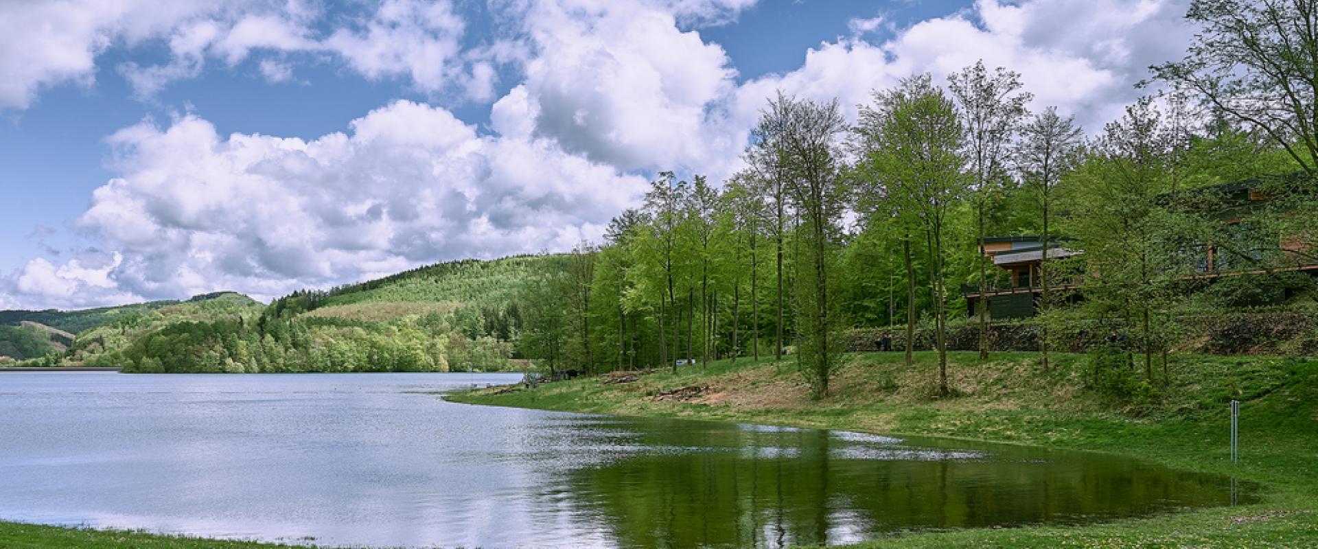 Hennesee 