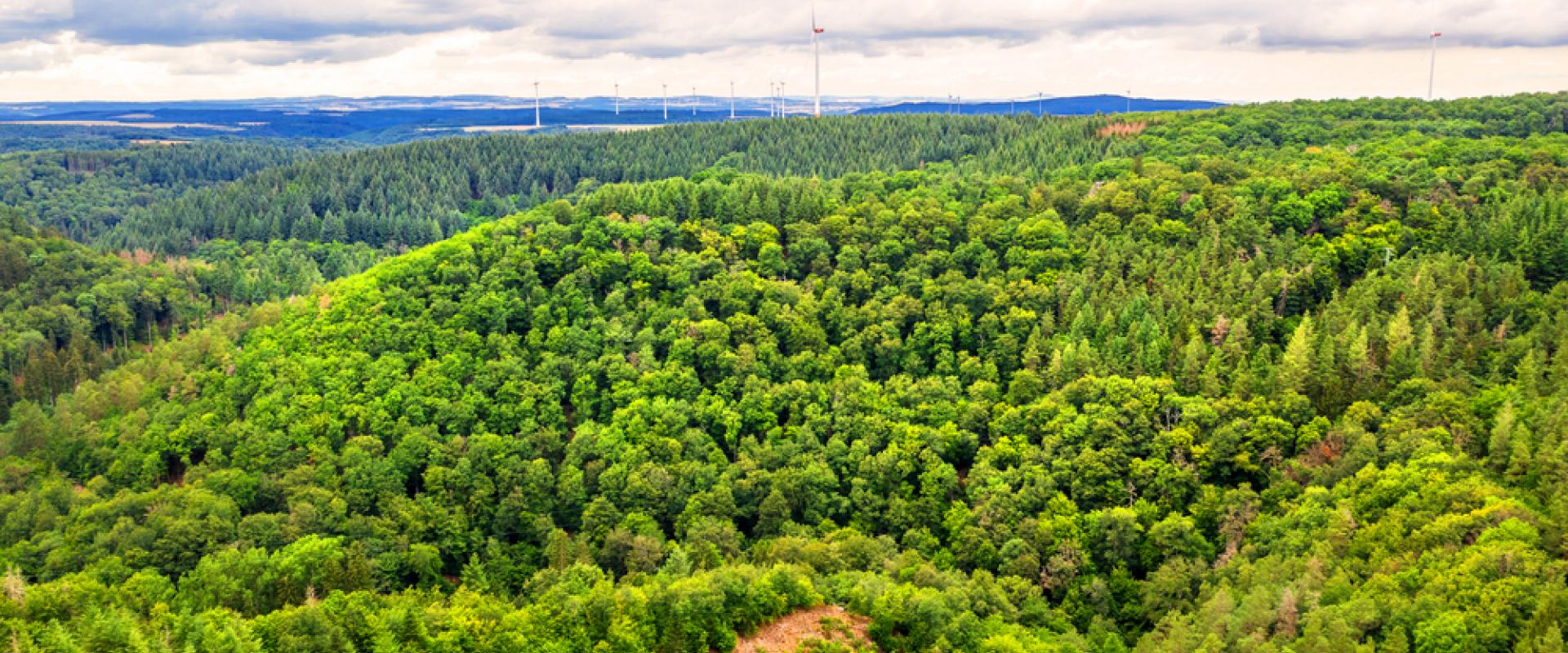 Hunsrück 
