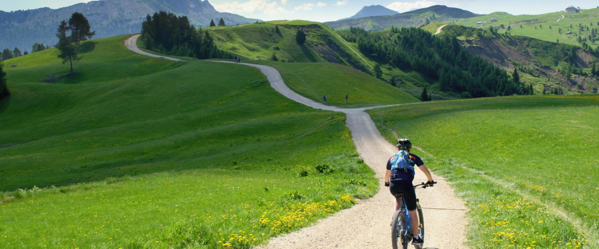 Alpen Fahrrad 