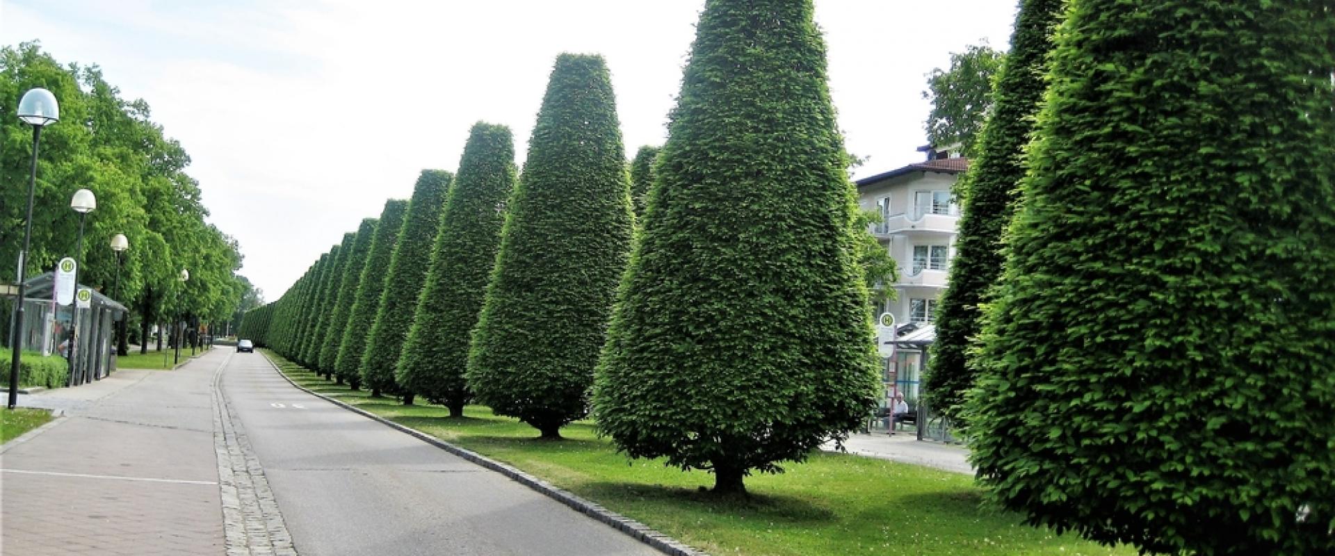 Bad Füssing 