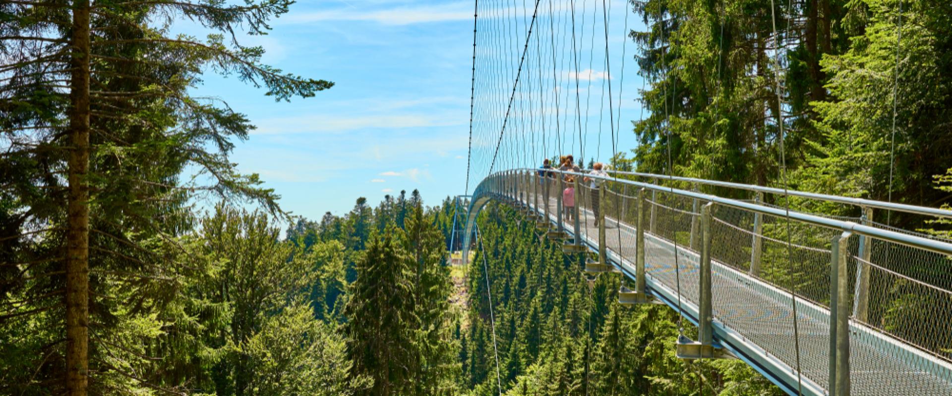 Bad Wildbad 