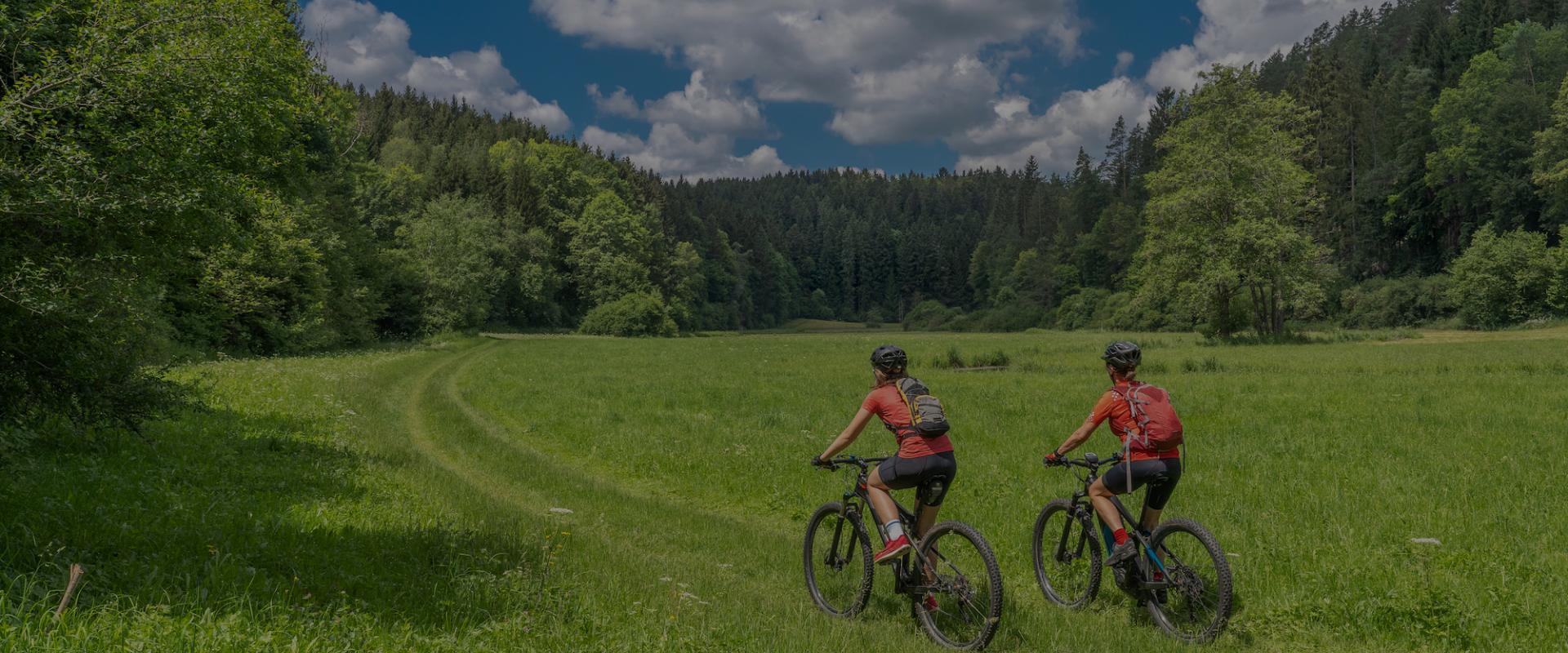 Header Ebike Schwarzwald