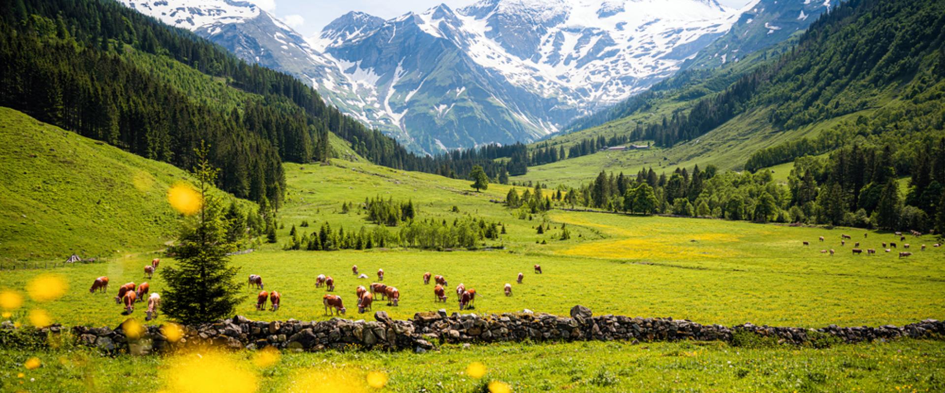 Hohe Tauern 