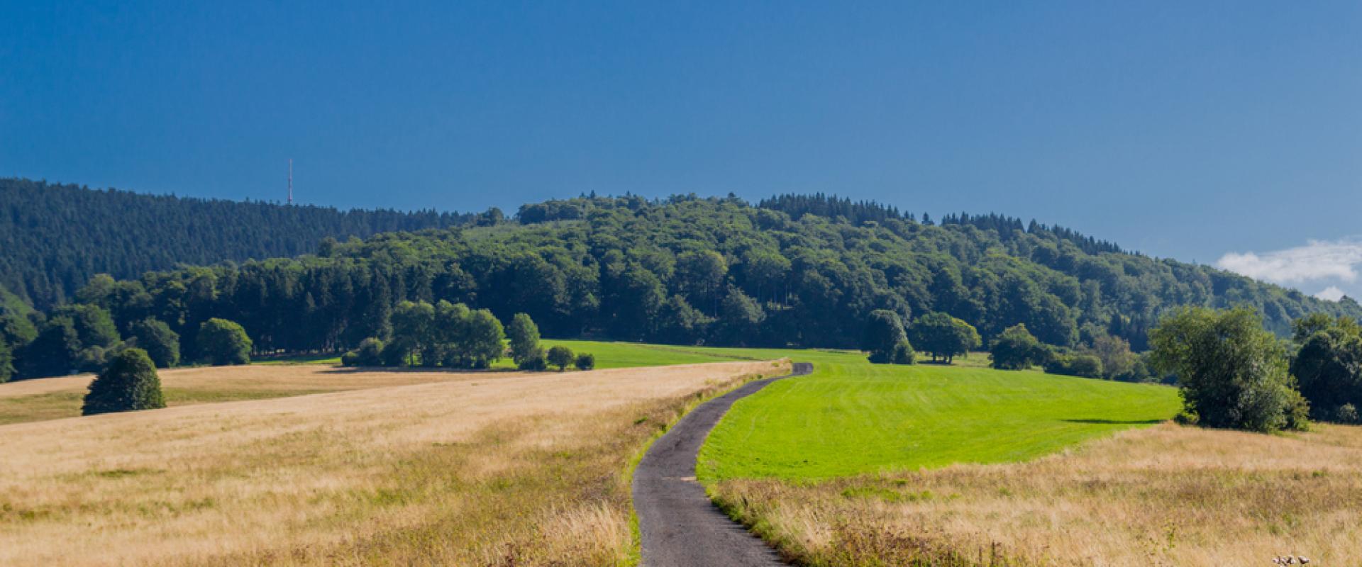 Rennsteig 