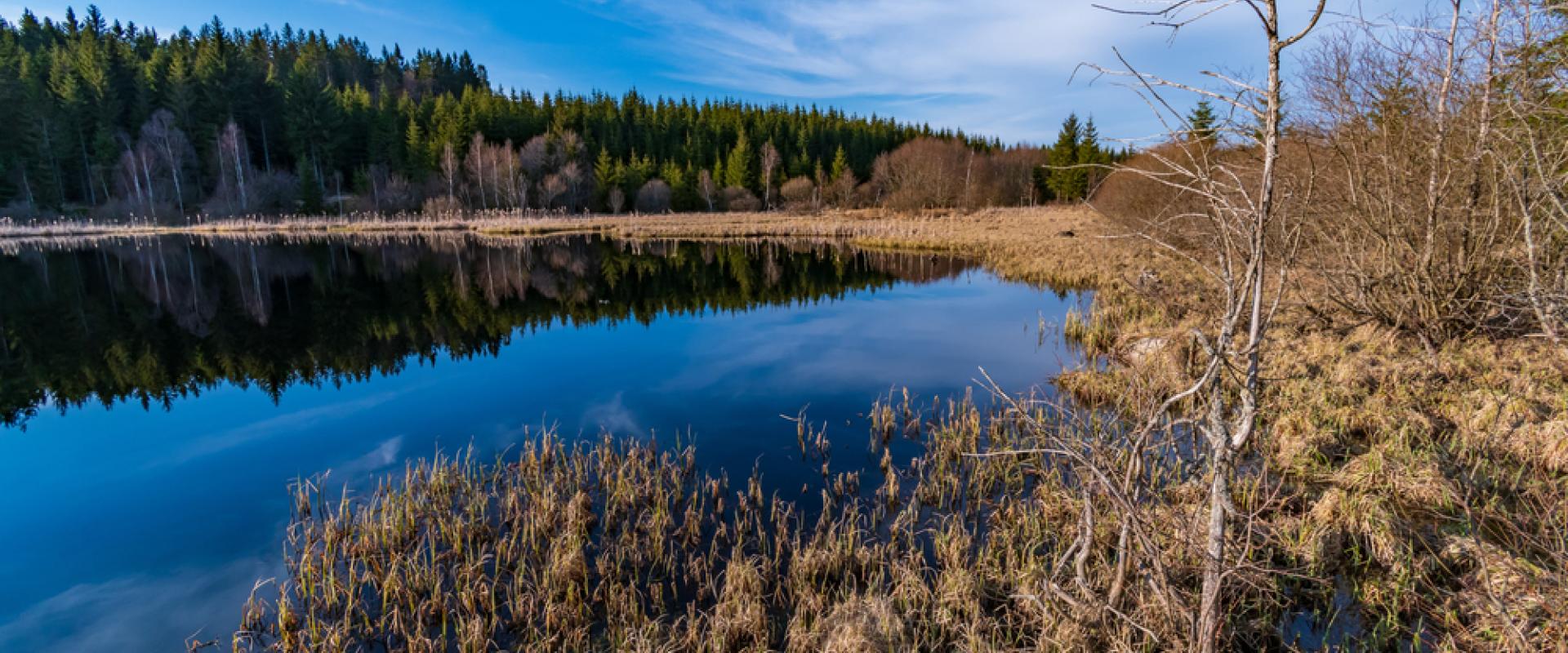 Tanner Moor