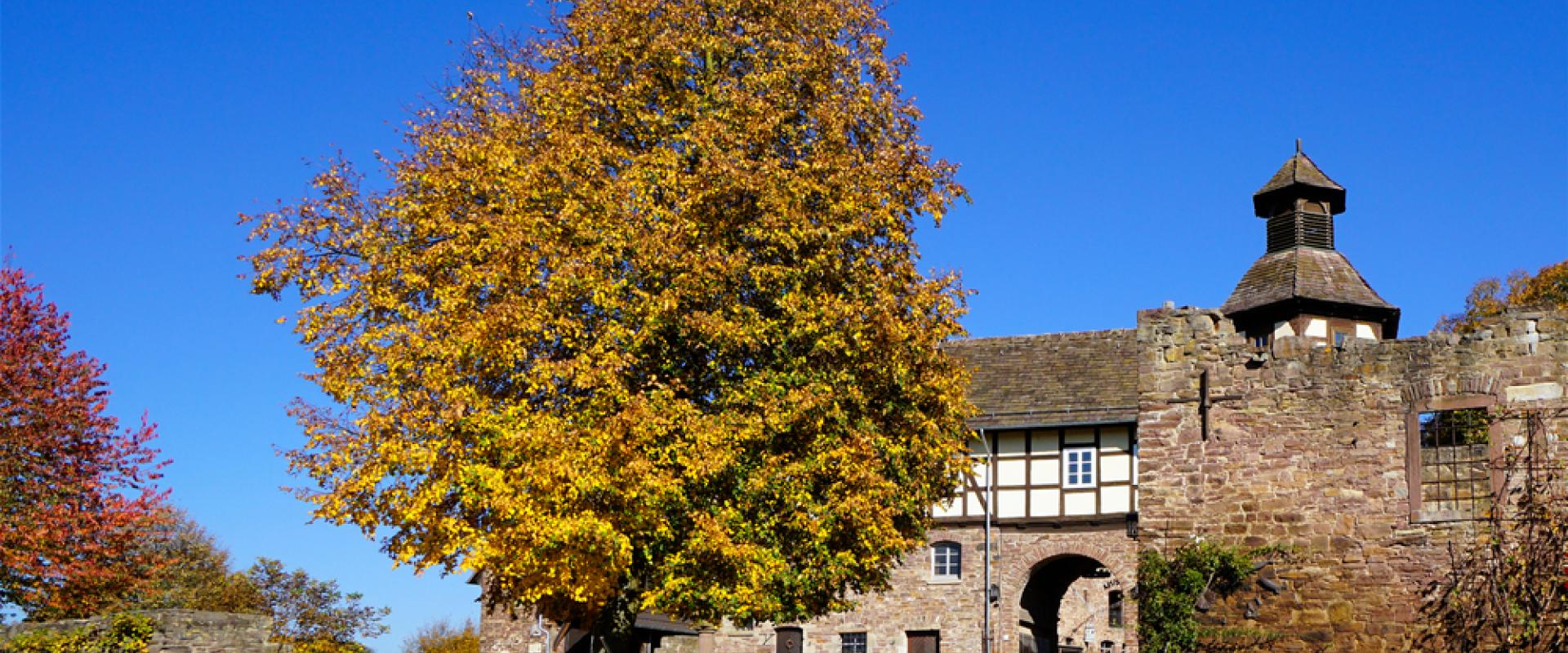 Wülmersen 