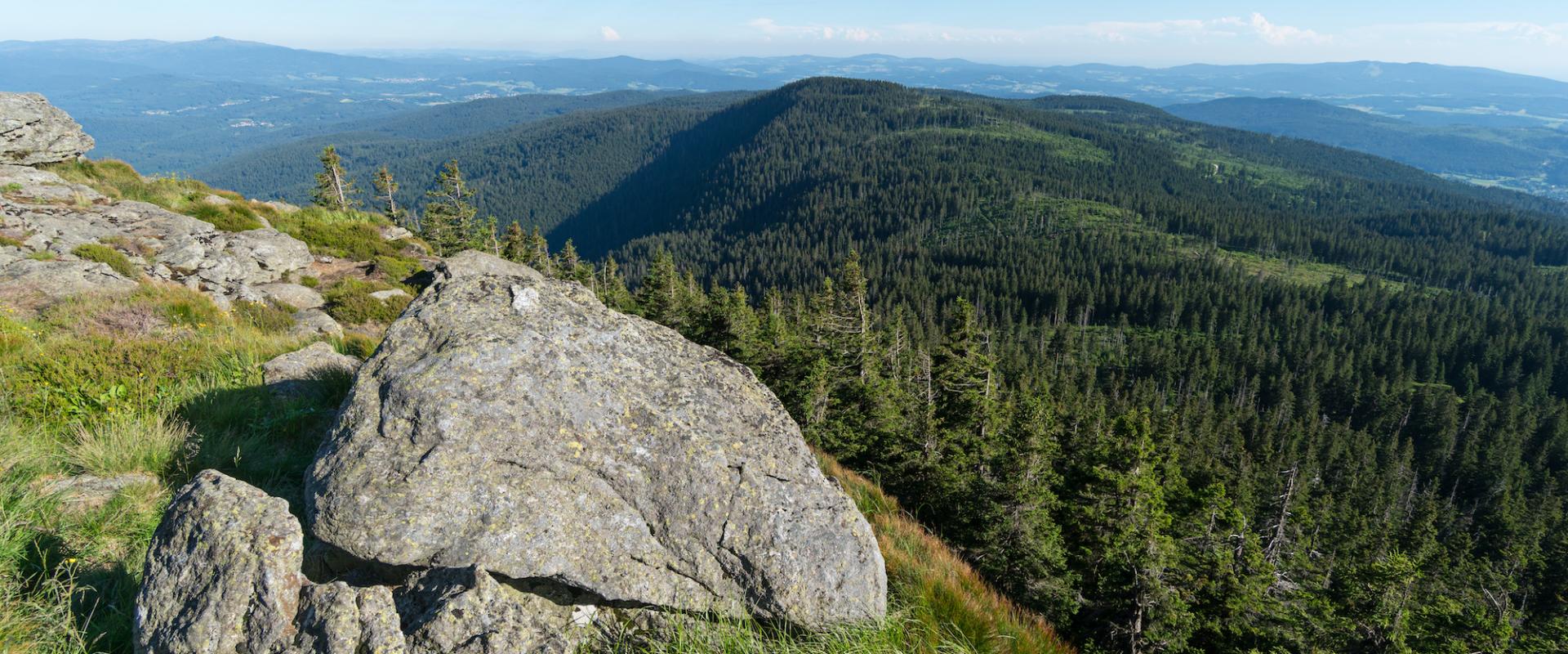Bay Wald Nationalpark