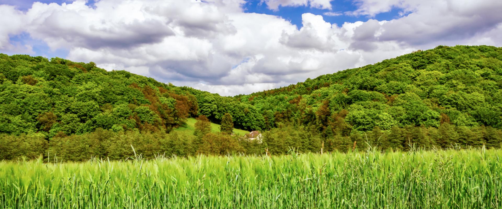 Deilbachtal 