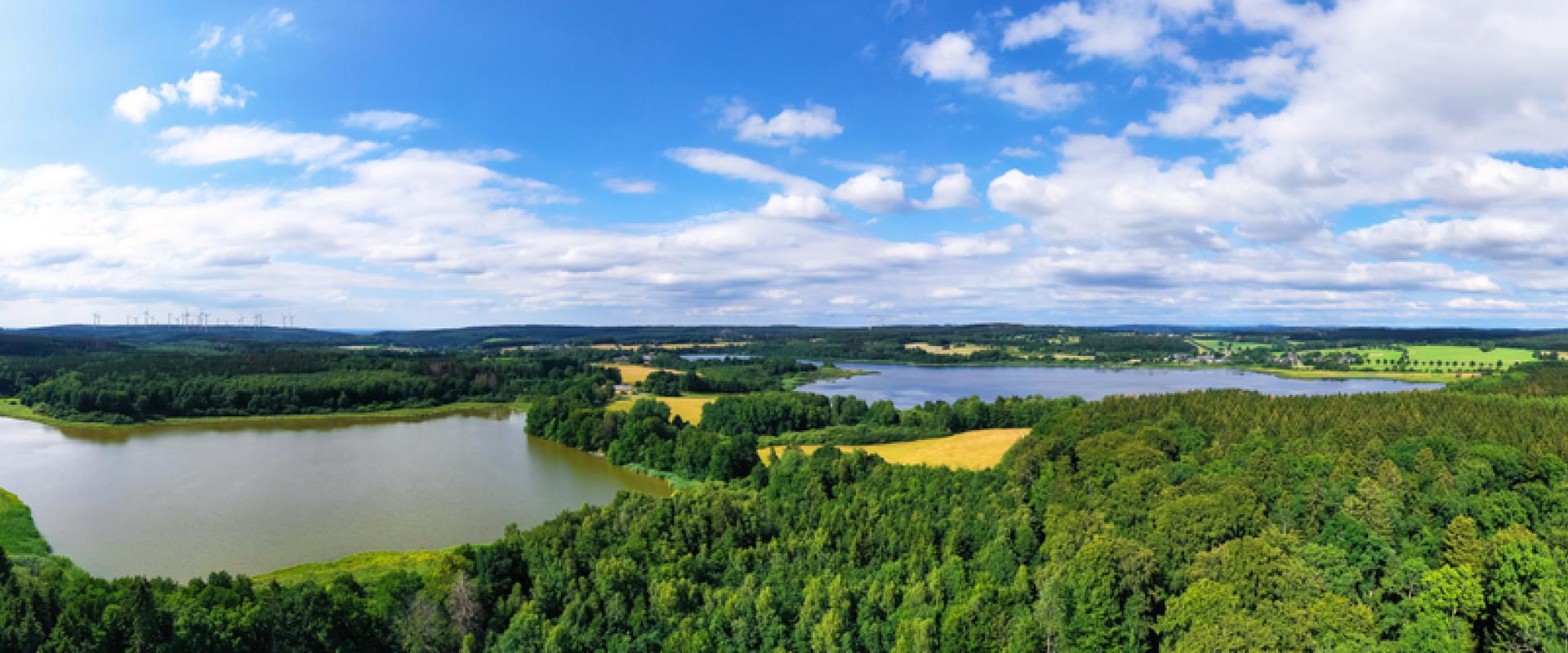 Westerwald Dreifelder Weiher 