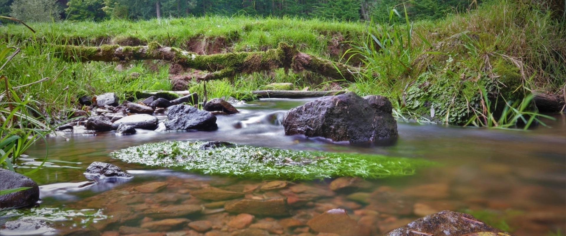 Spessart 