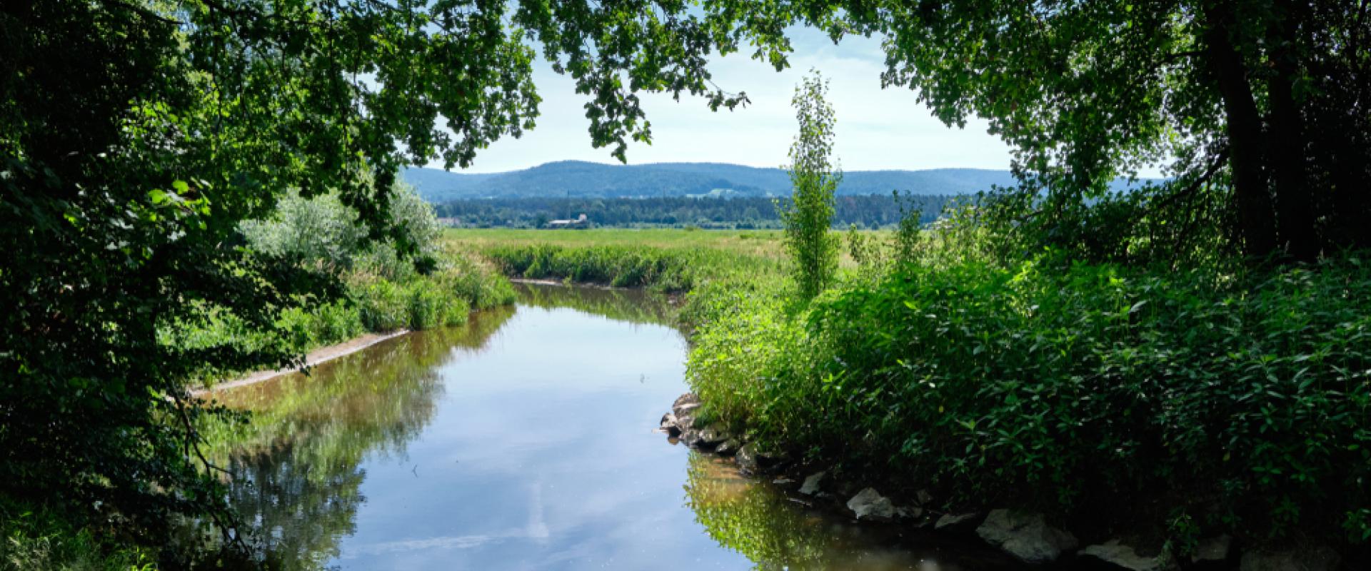 Spessart 