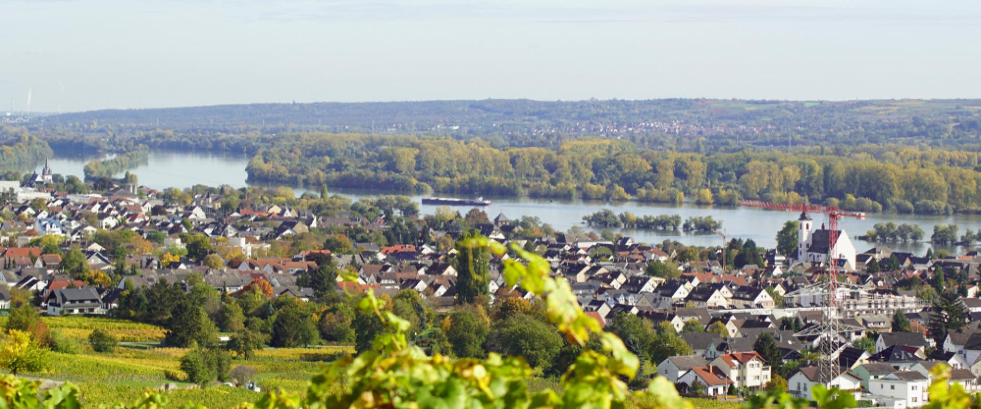 Geisenheim 