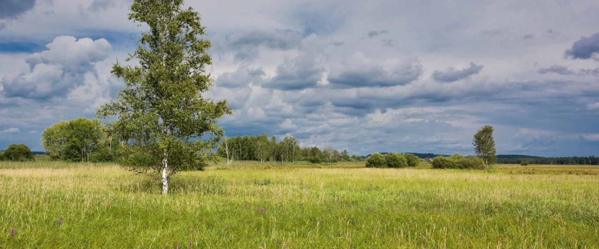 Federsee Naturpark