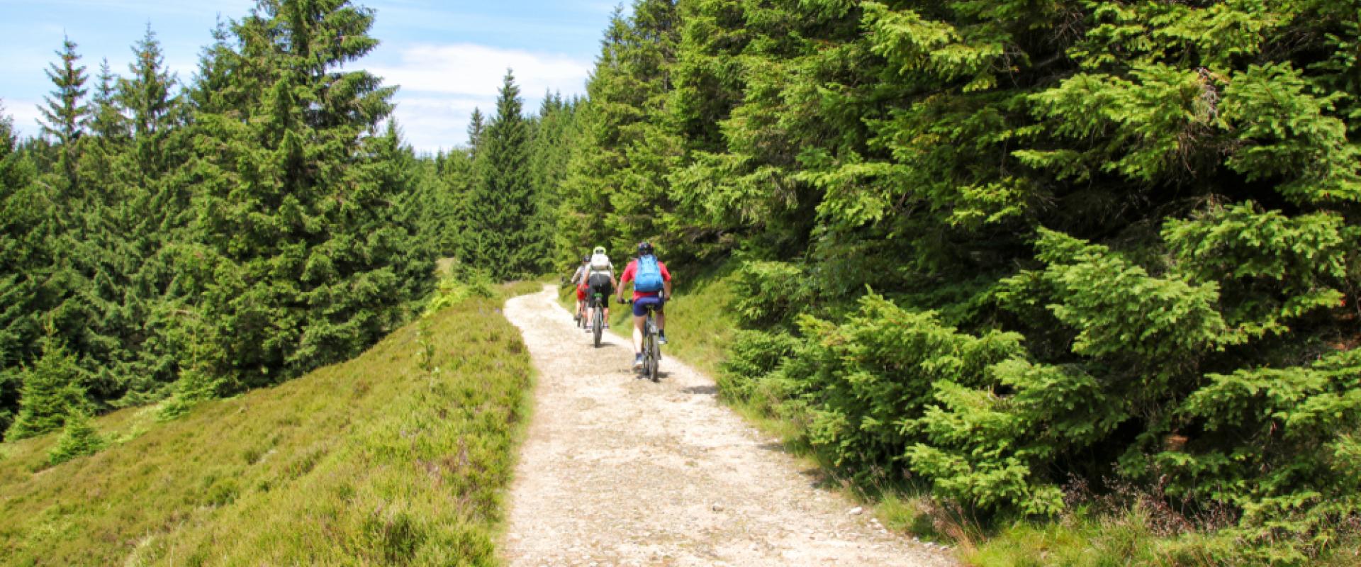 Harz Fahrrad 
