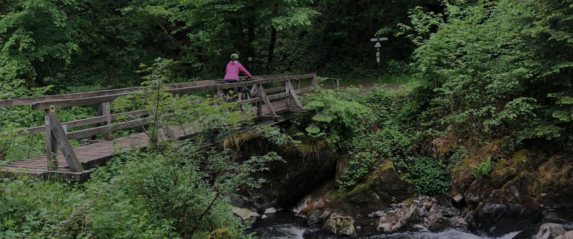 Header Erzgebirge EBike