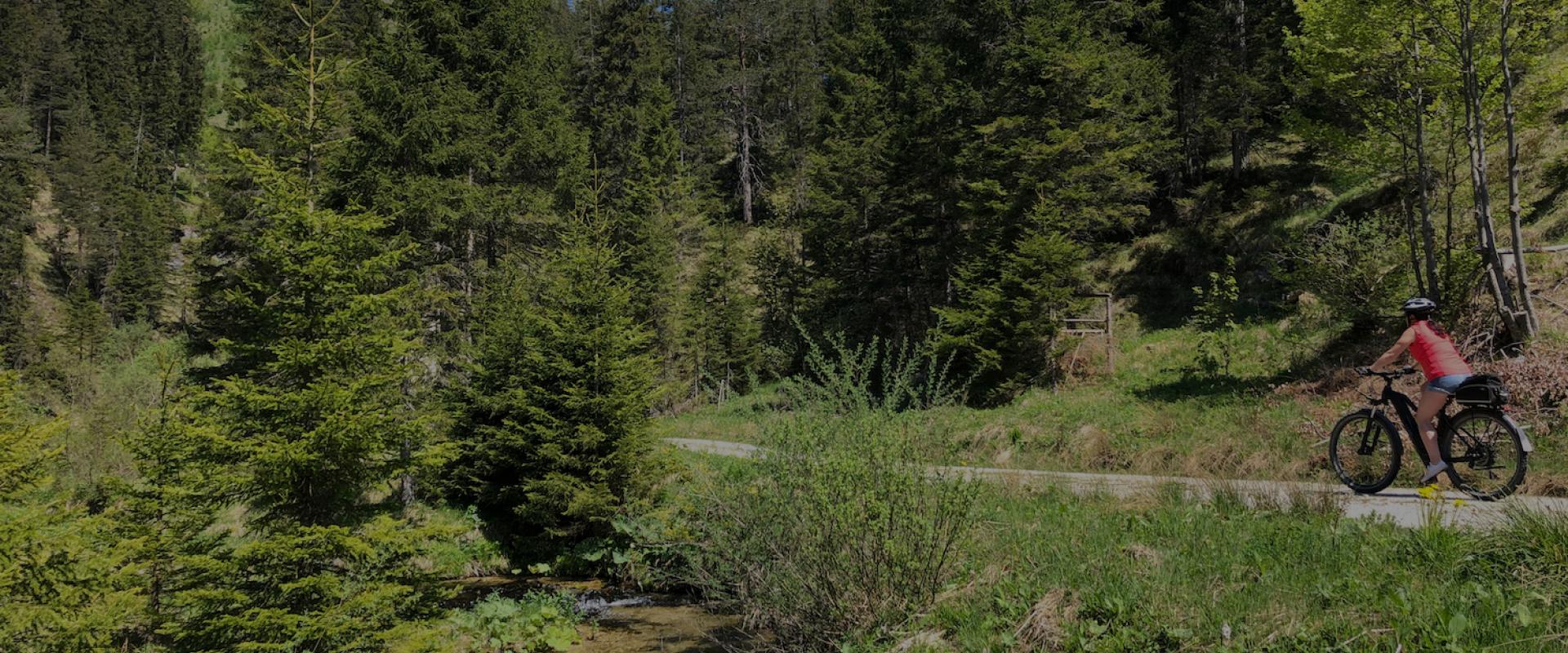 Header Oberösterreich Ebike