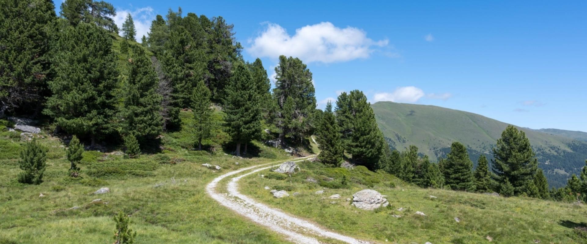 Nockberge 