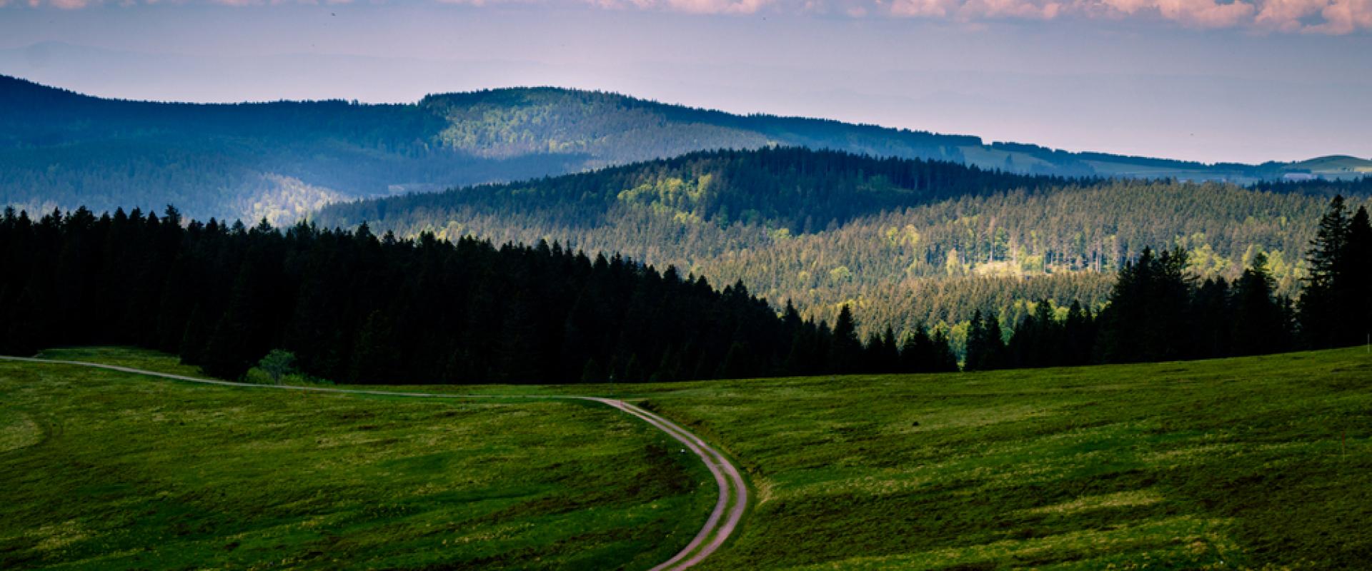 Blick zum Kandel