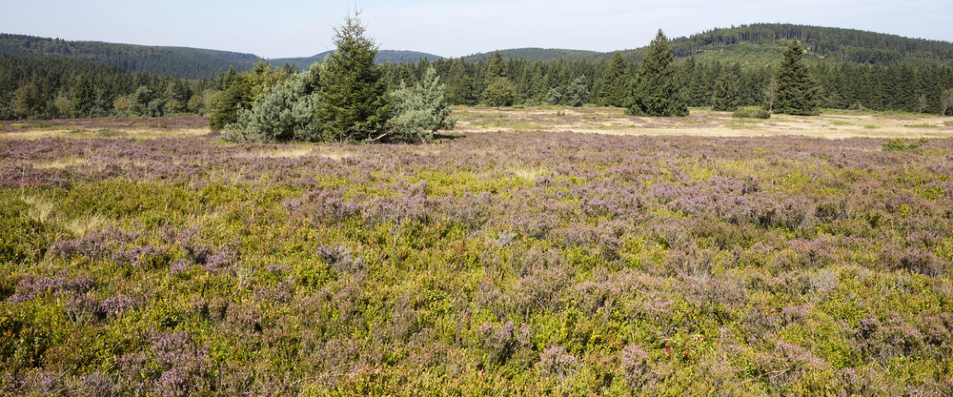 Hochheide Sauerland 