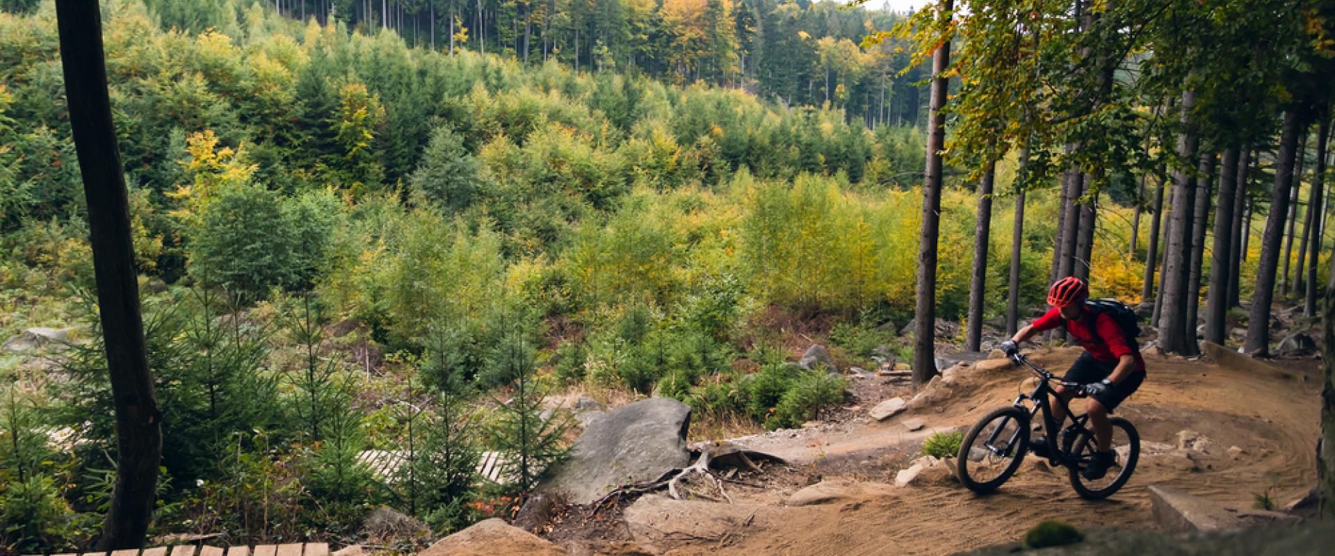 MTB Trail 2