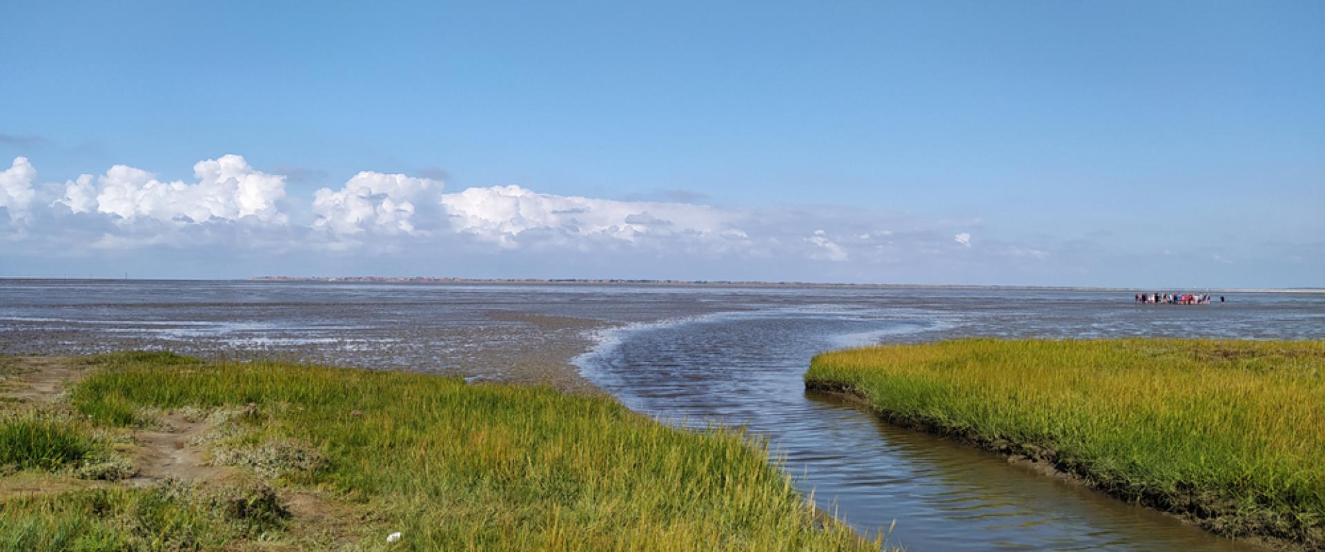 Nordseeküste 