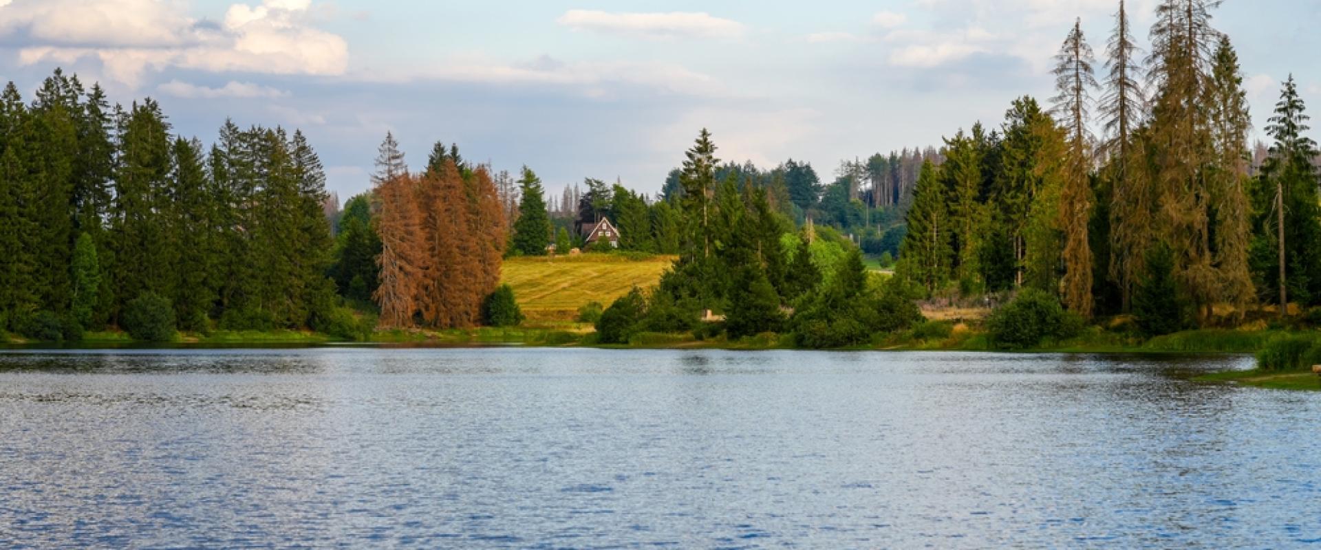 Prinzenteich 
