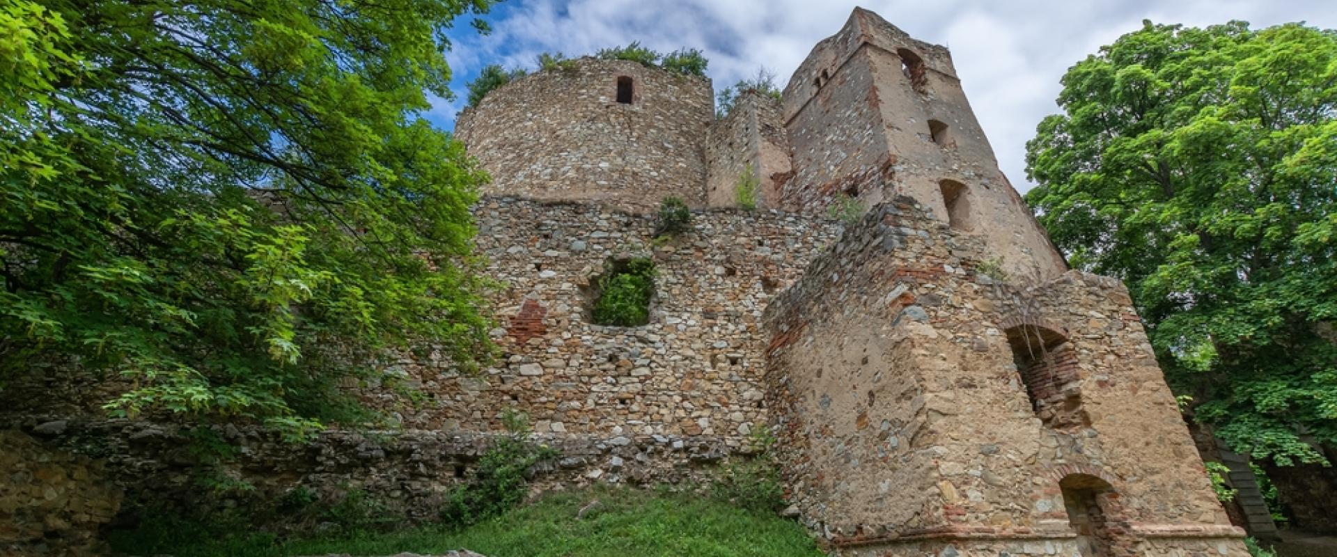 Burgruine Landsee 