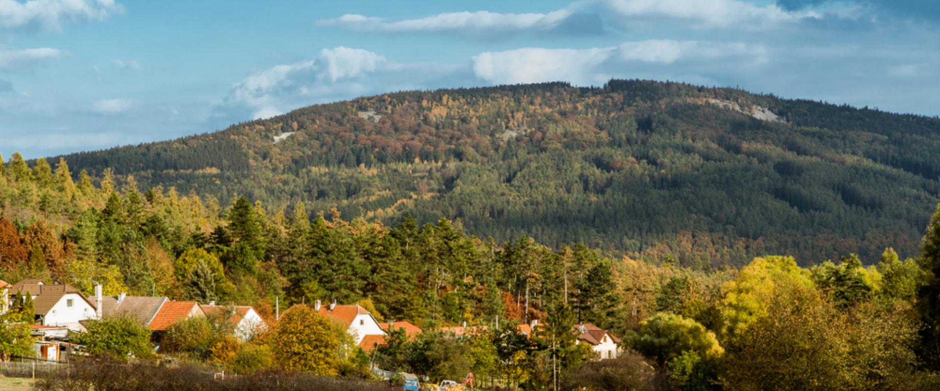 Pleßberg 