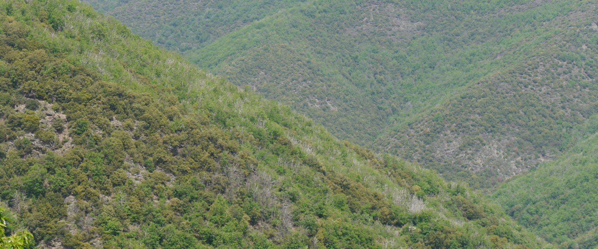 Asclier, Col d, Cevennne PS 5 2018 721.JPG
