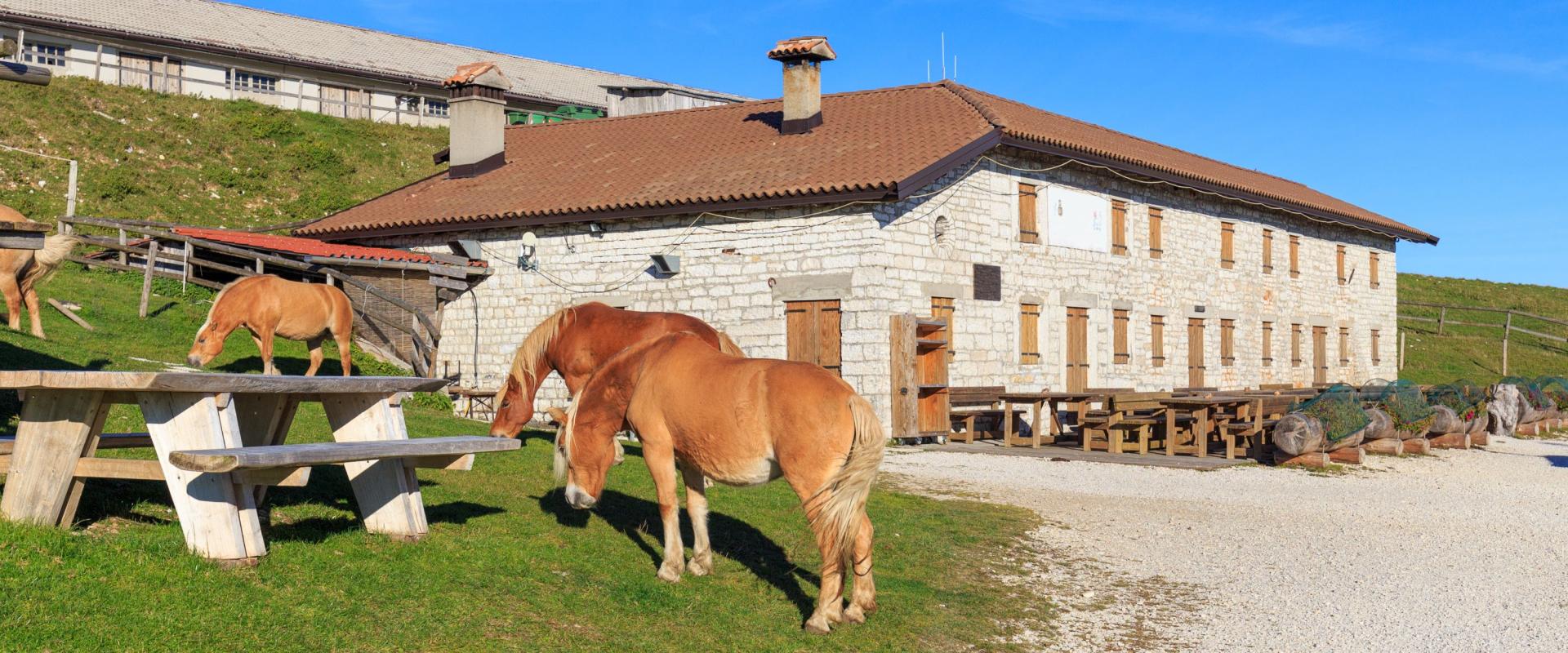 Cesen Monte, Mariech Alm, Von Marco Florian - shutterstock_1230821917.jpg