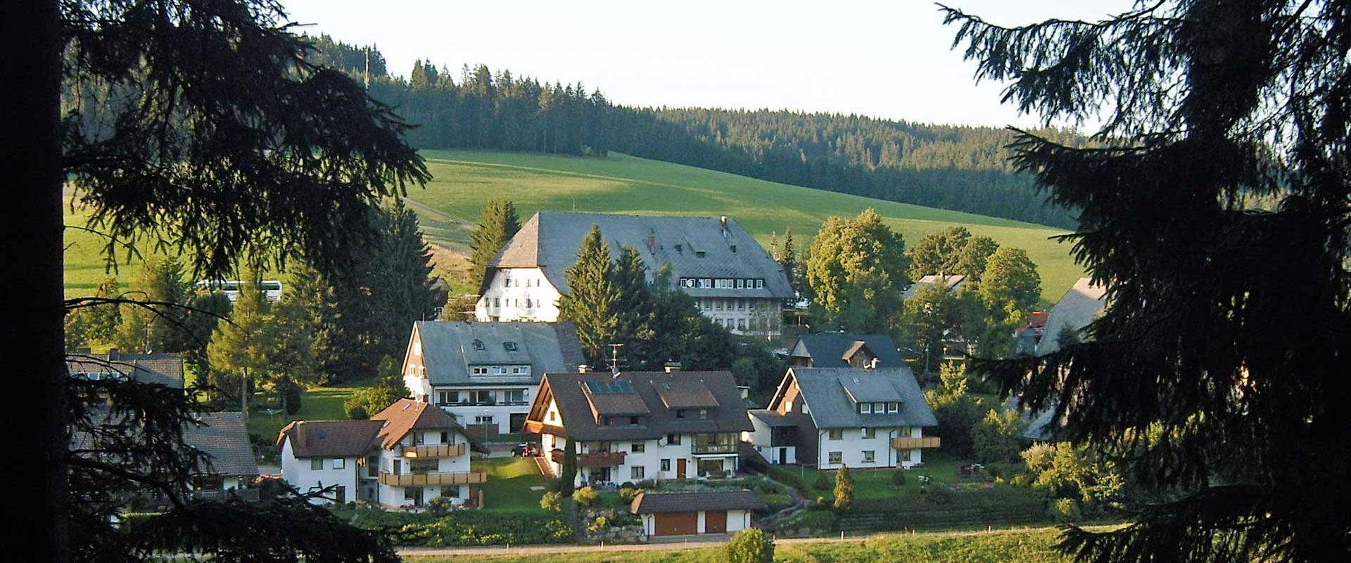 15400 Zur Traube .jpg