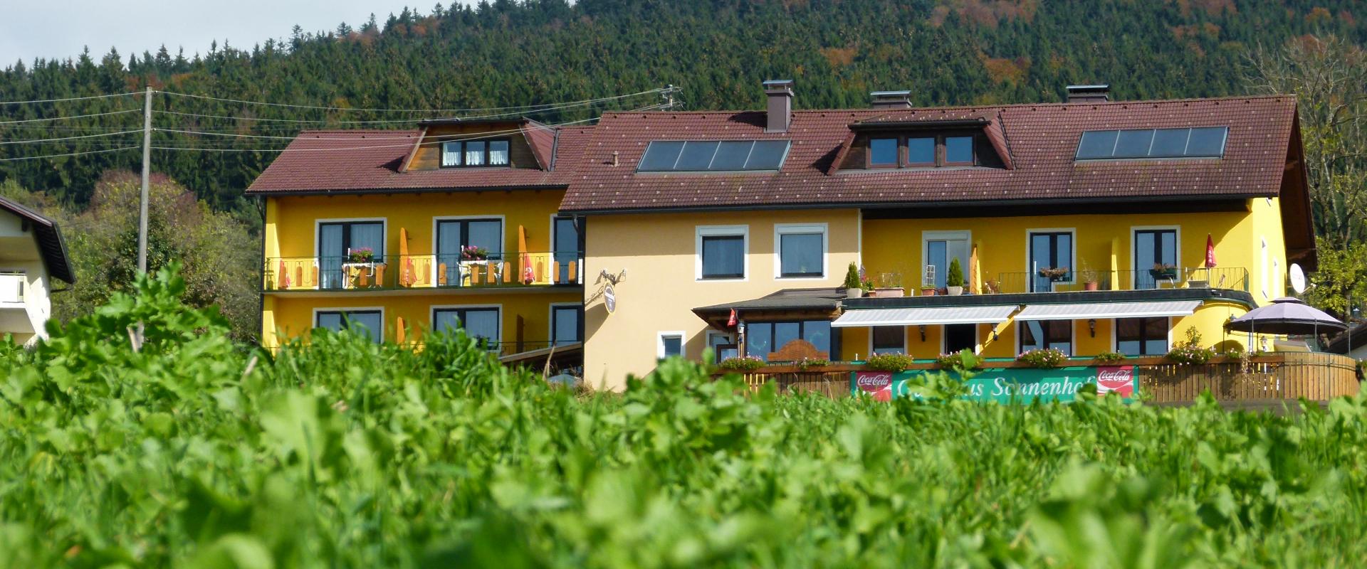 Gasthaus-Pension Sonnenhof 5bf66607c48a4072836429.jpg