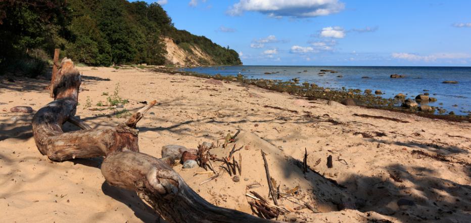Rügen Mönchsgut