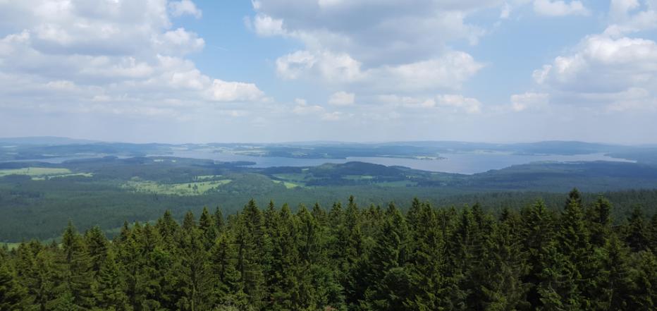 Moldaublick