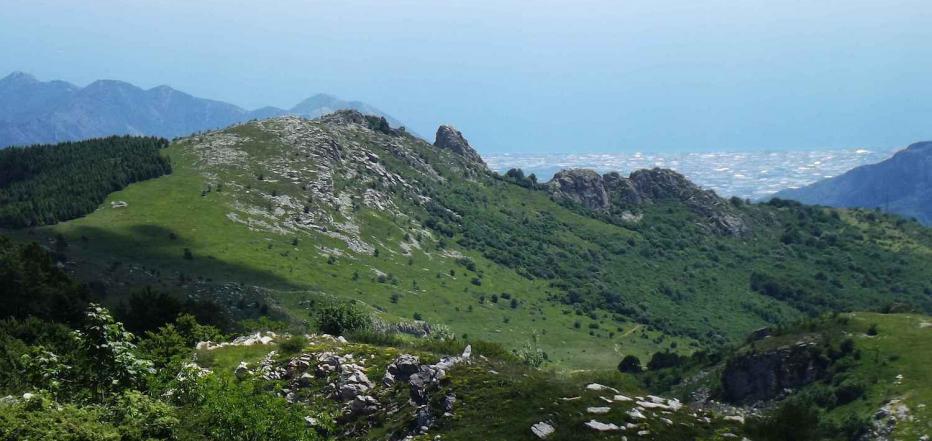 Monte Dubasso