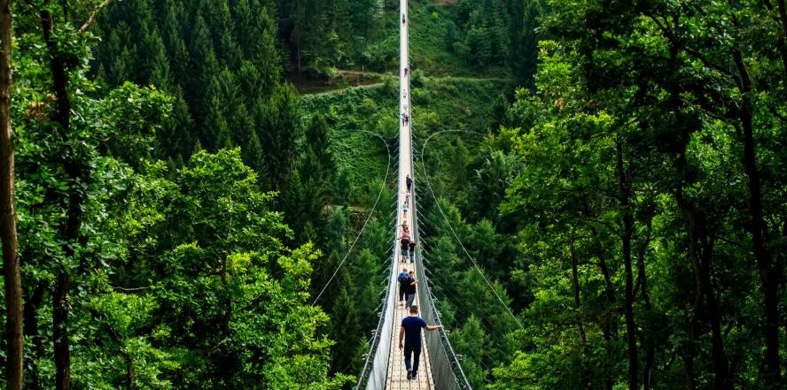 Geierlay Hängeseilbrücke