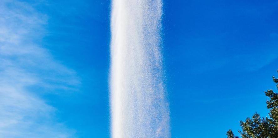 Geysir Andernach 