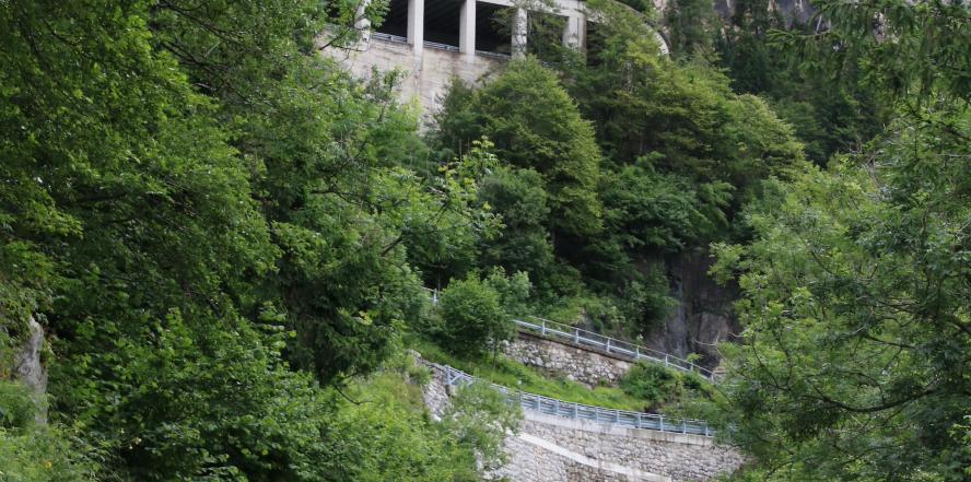 Plöckenpass inmitten von Wald und Gestein