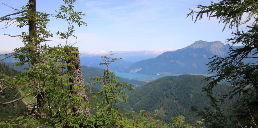 Postalmstraße, mit Blick zum Wolfgangsee, umgeben von Wäldern und Bergen