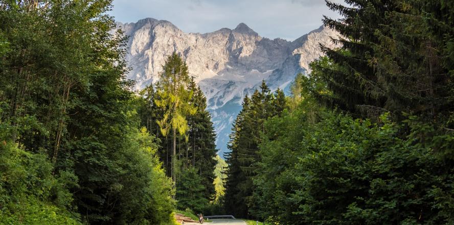 Waldstraße des Seebergsattels, mit Blick auf Berge