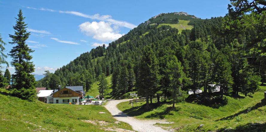 Ausblick vom Stoderzinken, auf Wälder, Wiesen und Berge