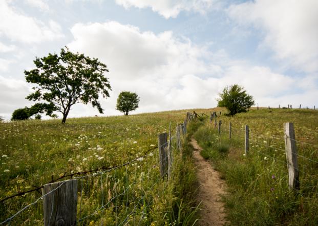 Wandern auf Rügen