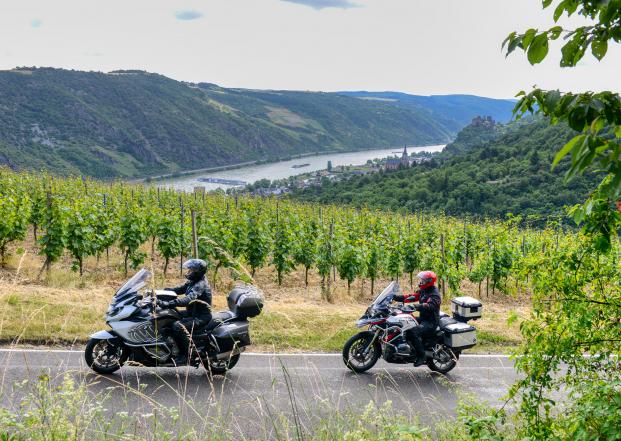 Durch die Weinberge