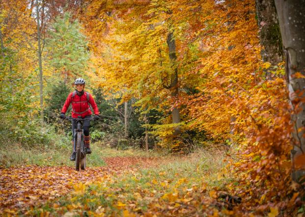 Fahrrad Theme