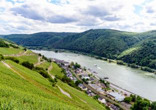 Der Rhein bei Assmannshausen