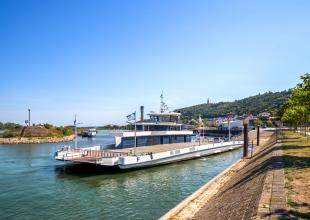Die Rheinfähre nach Bingen