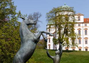 Celler Schloss